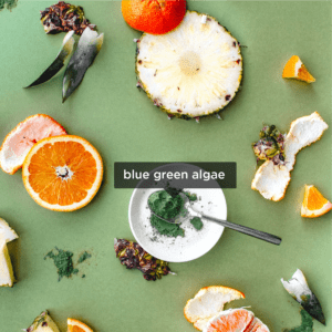 Let’s Talk Blue-Green Algae - So Good So You
