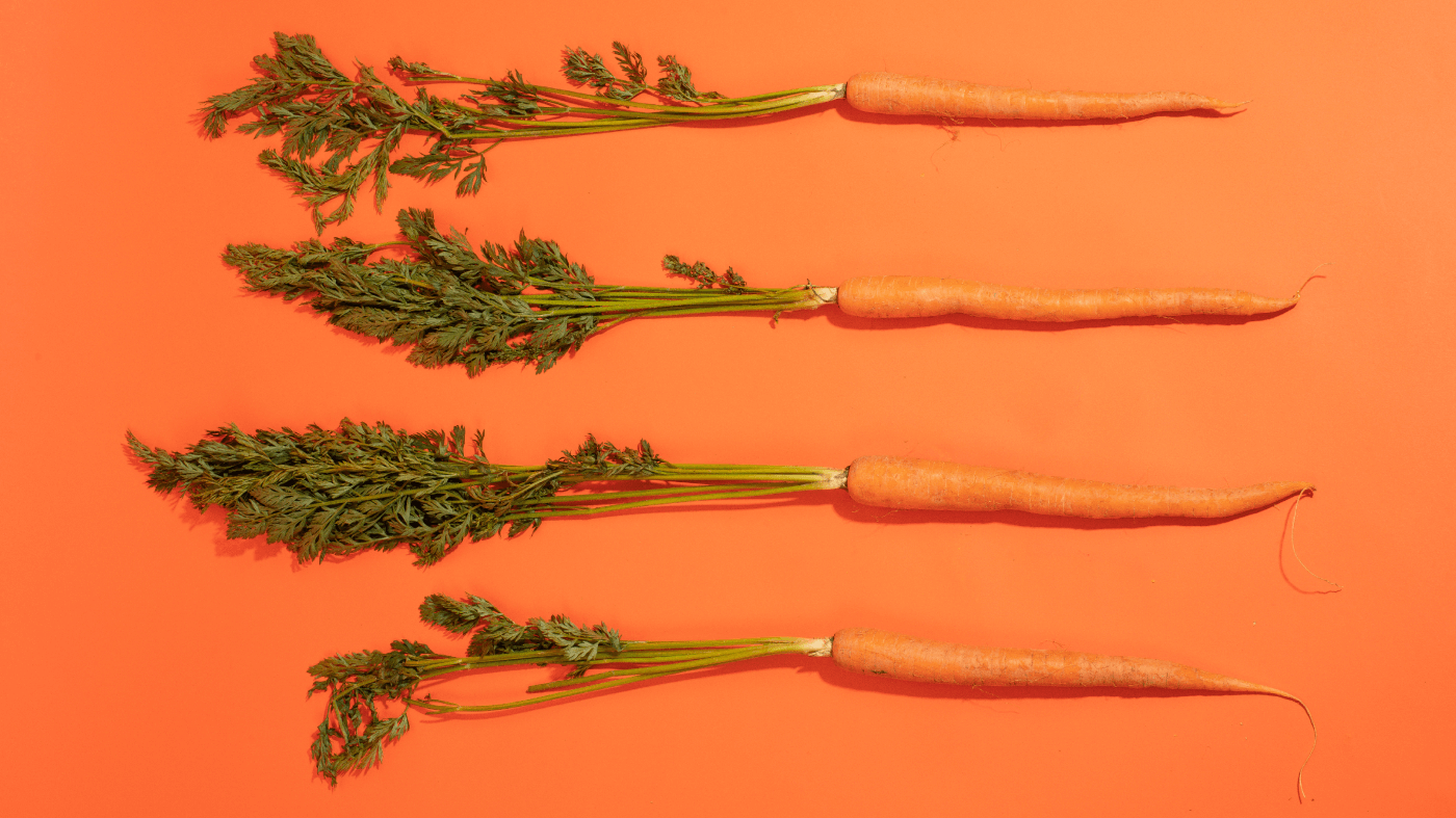 Winter Warm Carrot Galette Recipe - So Good So You